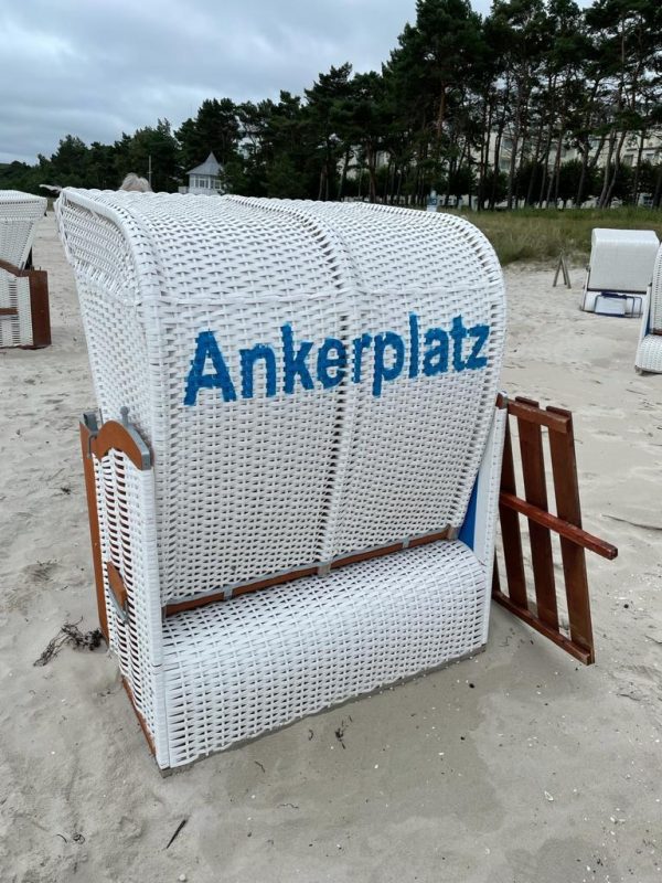 WhatsApp Image 2024-10-31 at 5.43.16 PM (3)